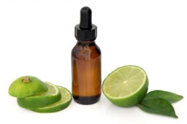 Limettenöl USA 10ml - zum Schließen ins Bild klicken
